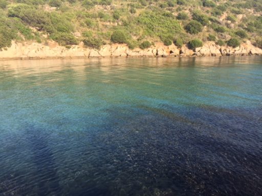 Il privilegio di lavorare in vacanza