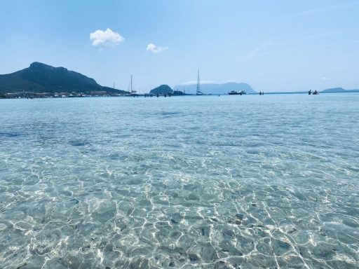 La competizione de “i belli”